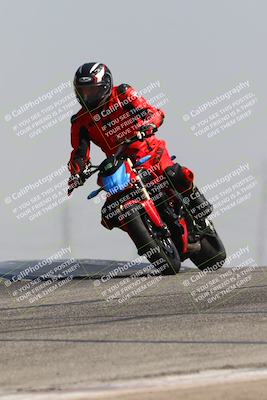 media/Jun-21-2024-CRA (Fri) [[52265281ca]]/Track Day 2/Grapevine/